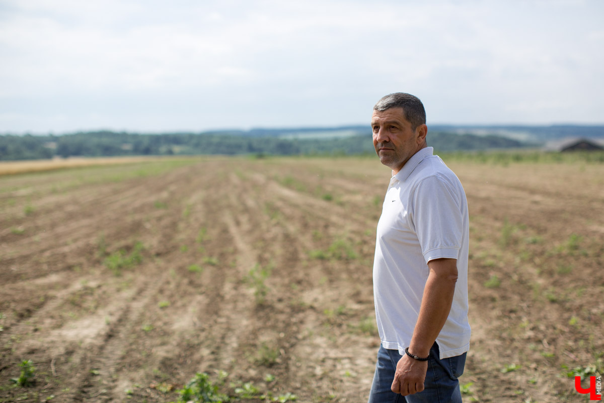 В Юрьев-Польском районе реализуется уникальный проект “Малина в шоке”. Владимирский хлебокомбинат планирует выращивать ягоды в промышленных масштабах