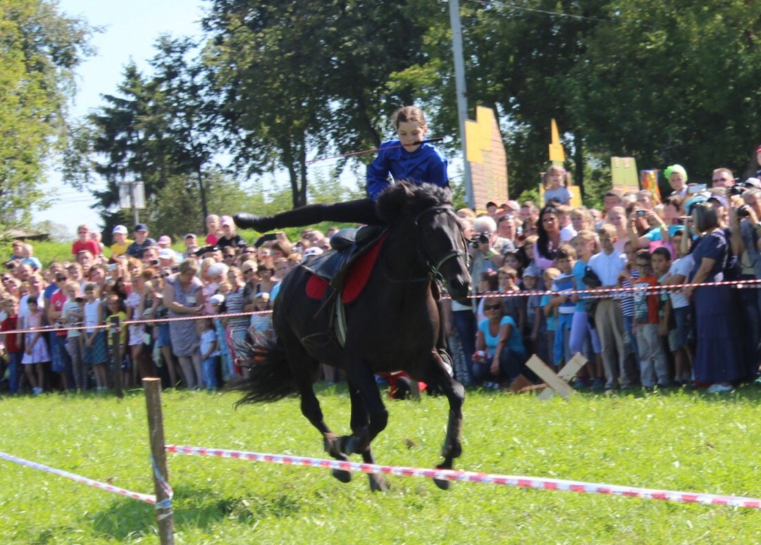 Первый охотничий фестиваль ждет гостей 14 сентября. В усадьбе Храповицкого всех удивит насыщенная развлекательная и познавательная программа
