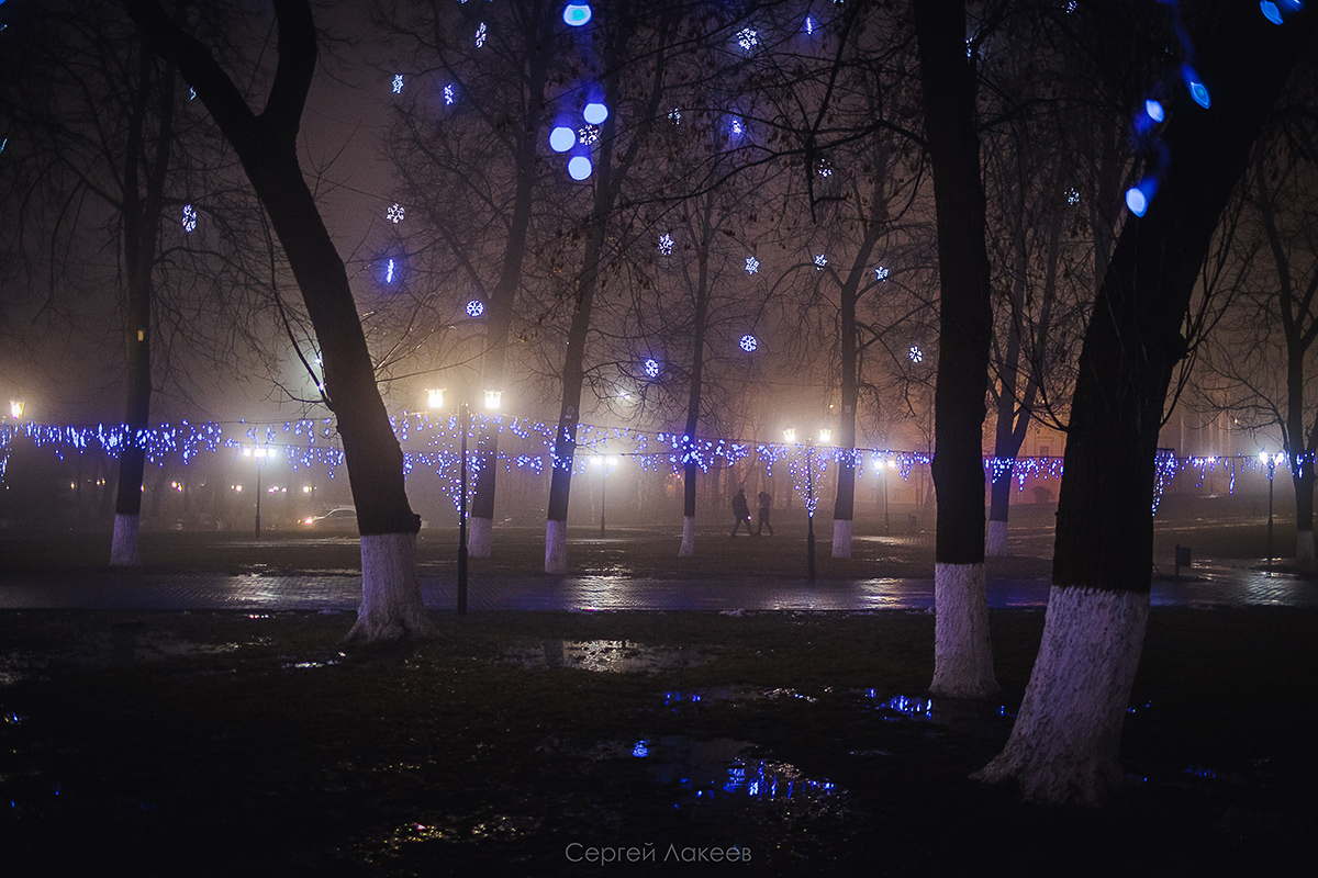 Пустые улицы, стук каблуков по брусчатке, вокруг туман. Как владимирские фотографы запечатлели зловещий декабрь?
