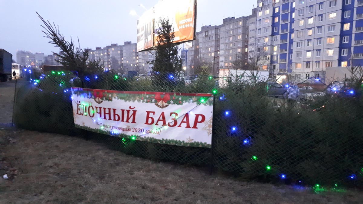 20 декабря во Владимире открылись ёлочные базары. Мы составили карту мест, где можно купить новогоднее дерево