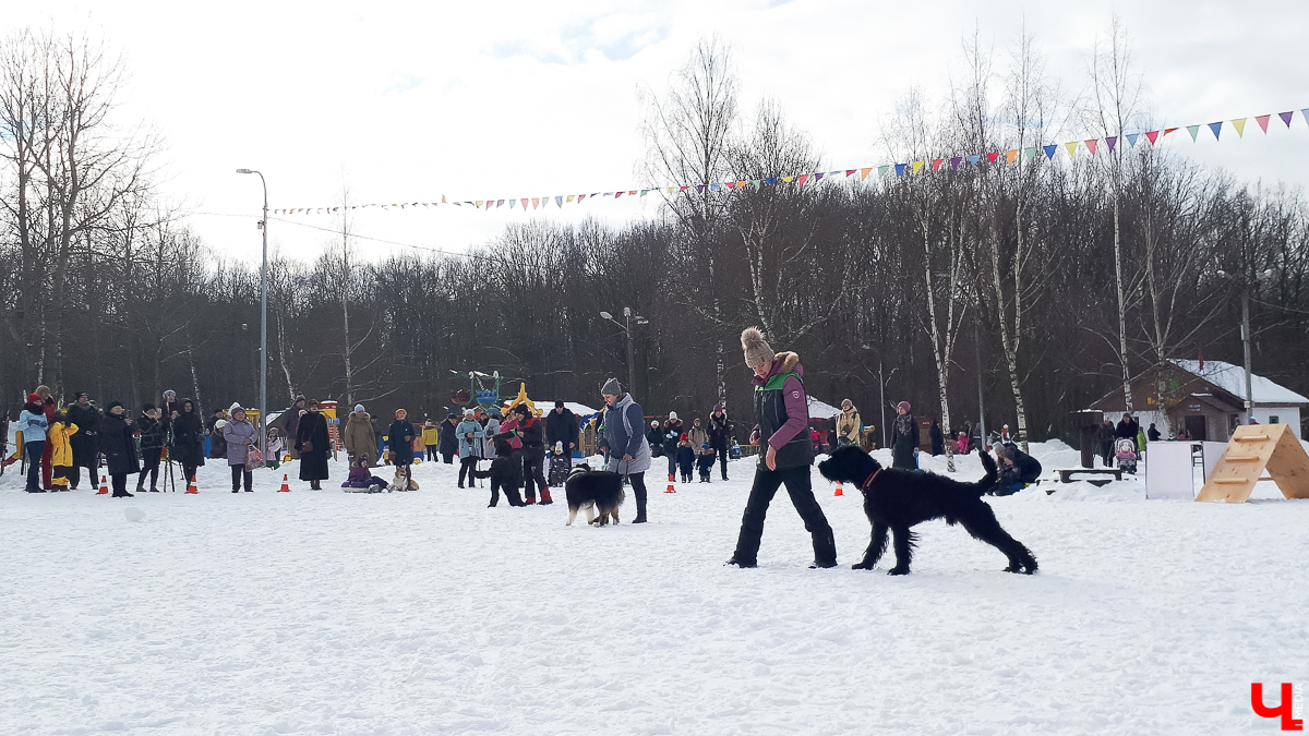 15 февраля в парке «Дружба» провели «Праздник собаки». Четвероногие и их владельцы участвовали в конкурсах, а также устроили важную акцию