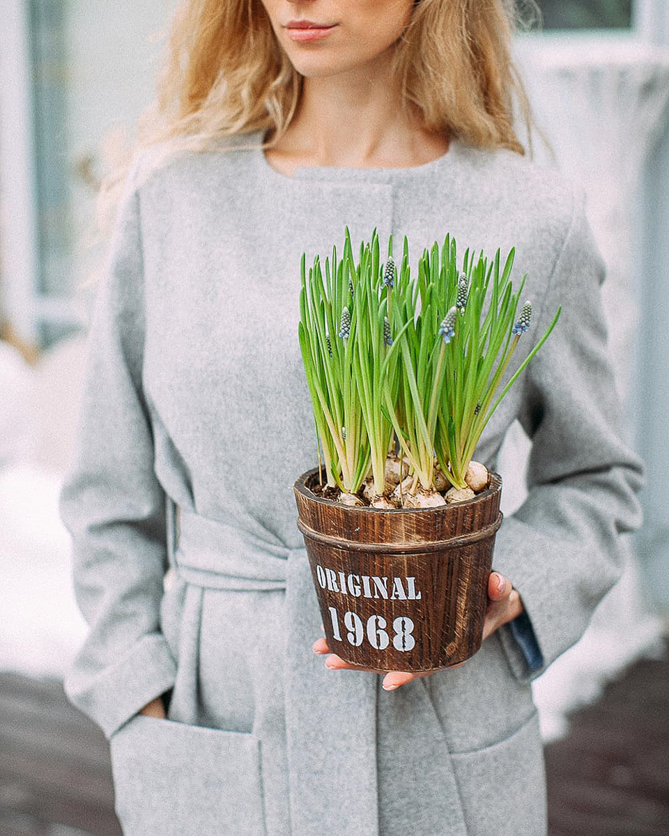 Разговор с флористами о луковичных растениях как подарках на Международный женский день