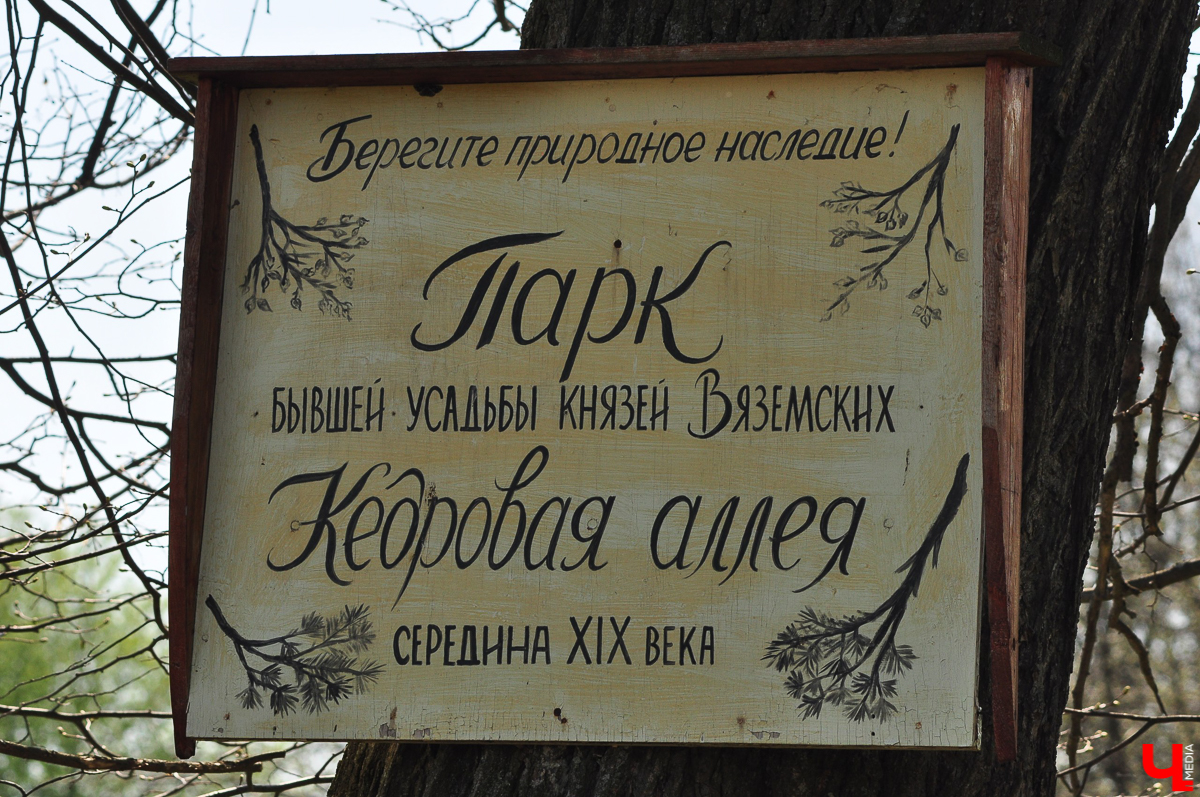Село Выпово Суздальского района может похвастаться уникальной кедровой рощей. Это место идеально для прогулки и пикника