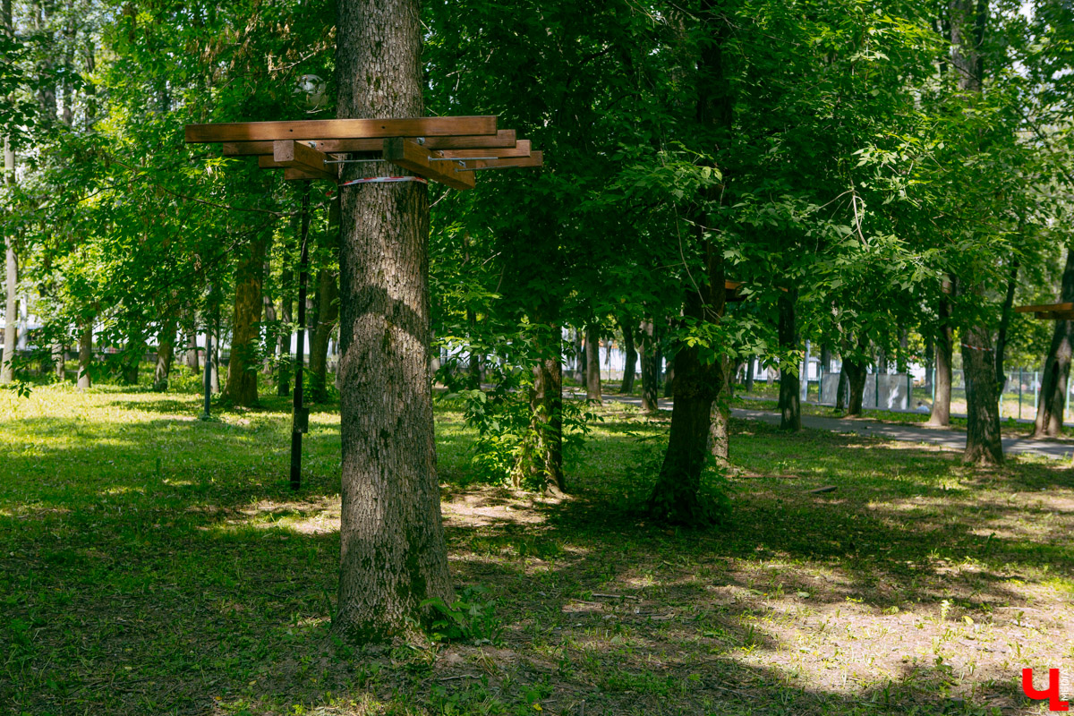 Приятная новость для любителей активного отдыха: в Центральном парке может появиться веревочный городок