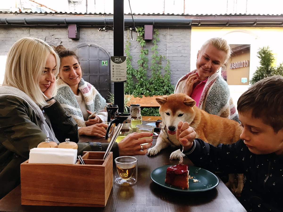 Тренд на заведения dog-friendly давно дошел и до Владимира. Мы составили обзор мест, в которых посетители уже были замечены вместе с любимыми питомцами. Причем не только с собаками
