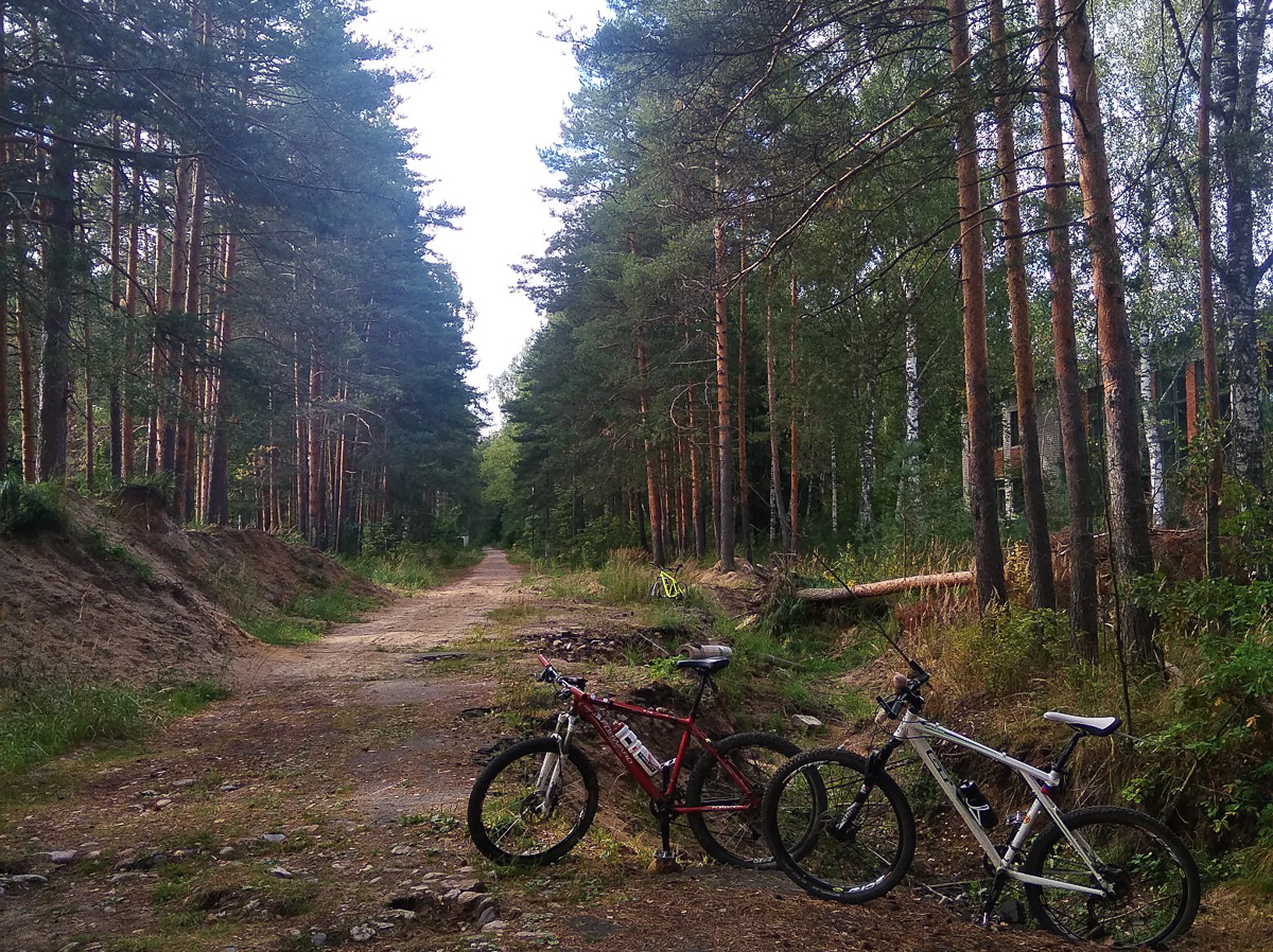 Велосипедист Антон Соколов поделился впечатлениями от очередной поездки. На этот раз блогер побывал в Петушинском районе, в одной из заброшенных воинских частей