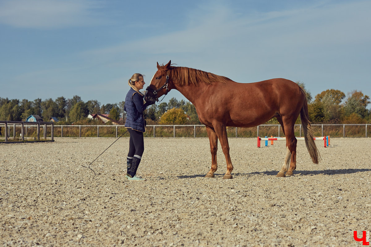 Екатерина Добронравова установила удивительно доверительный контакт со своей лошадью Далиной благодаря методике гуманного отношения к питомцу. Это добрая история про иппотерапию и дружбу
