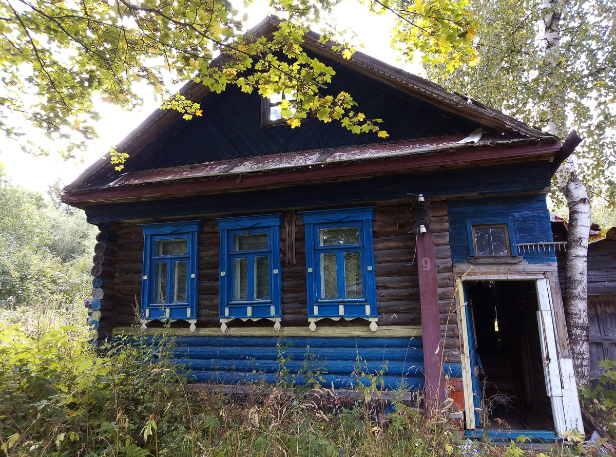 Есть дома, но нет жителей. Фото и видео из трех заброшенных деревень в Вязниковском районе