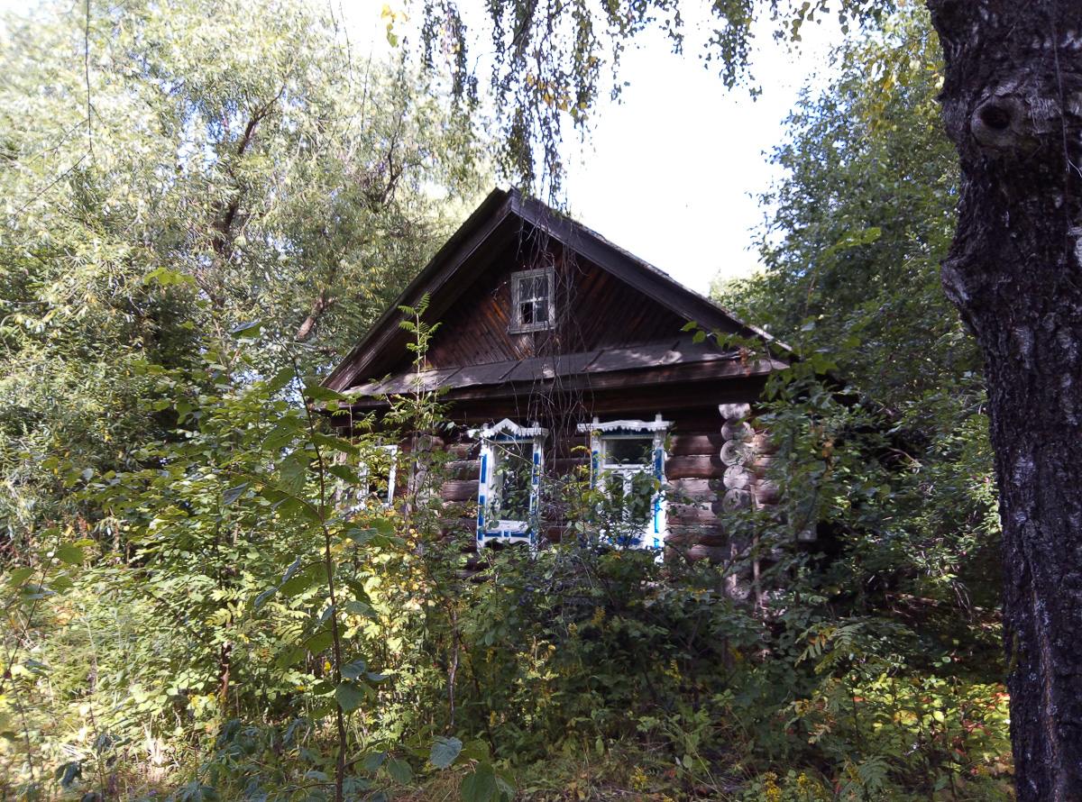 Есть дома, но нет жителей. Фото и видео из трех заброшенных деревень в Вязниковском районе