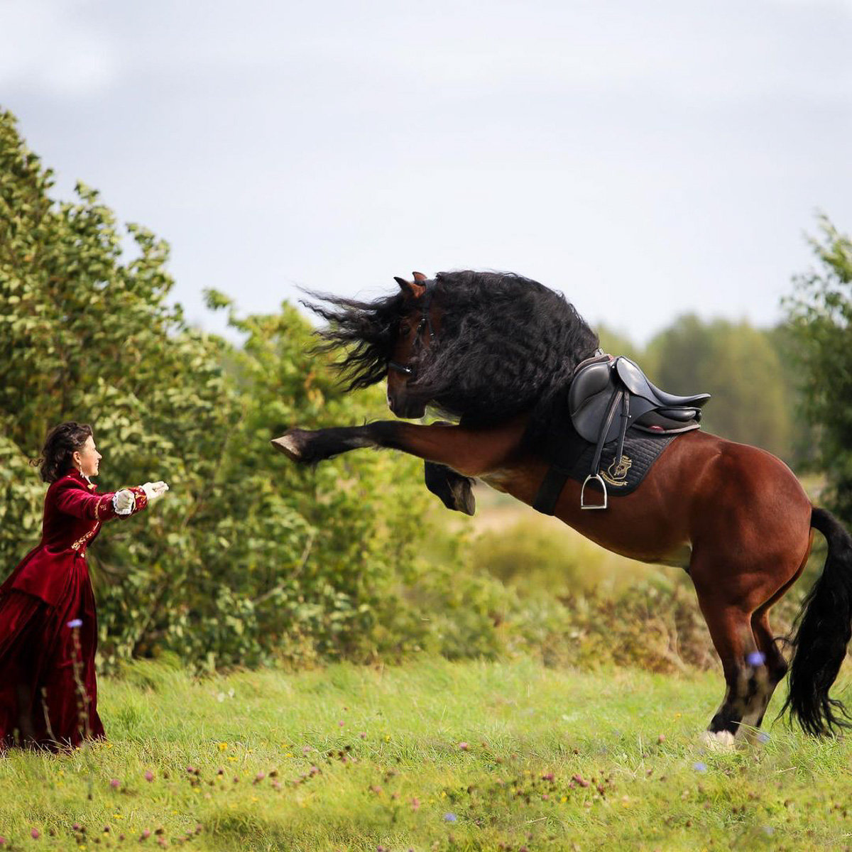 Принц на белом коне, амазонки, аристократки и прекрасные лошади в нашей новой Instagram-подборке