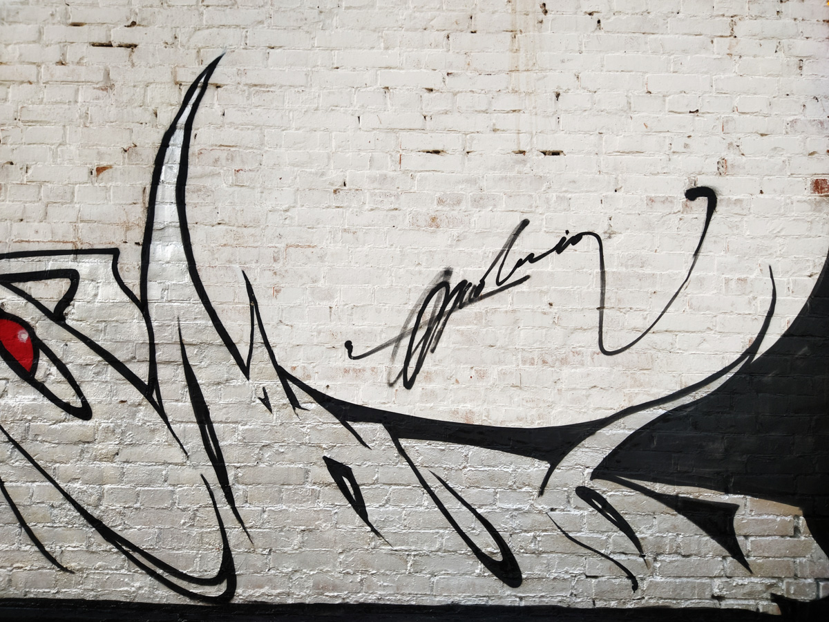 Спутанные лица из нитей краски. Владимирский художник-граффитист Никита Молния о недолговечности искусства и авторской философии.