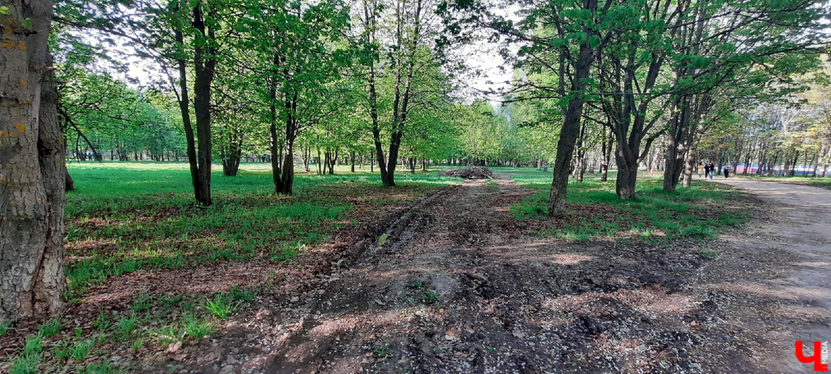 Планы на 2022-й год составлены. Владимирцы выбрали вариант дальнейшей реновации парка «Добросельский».
