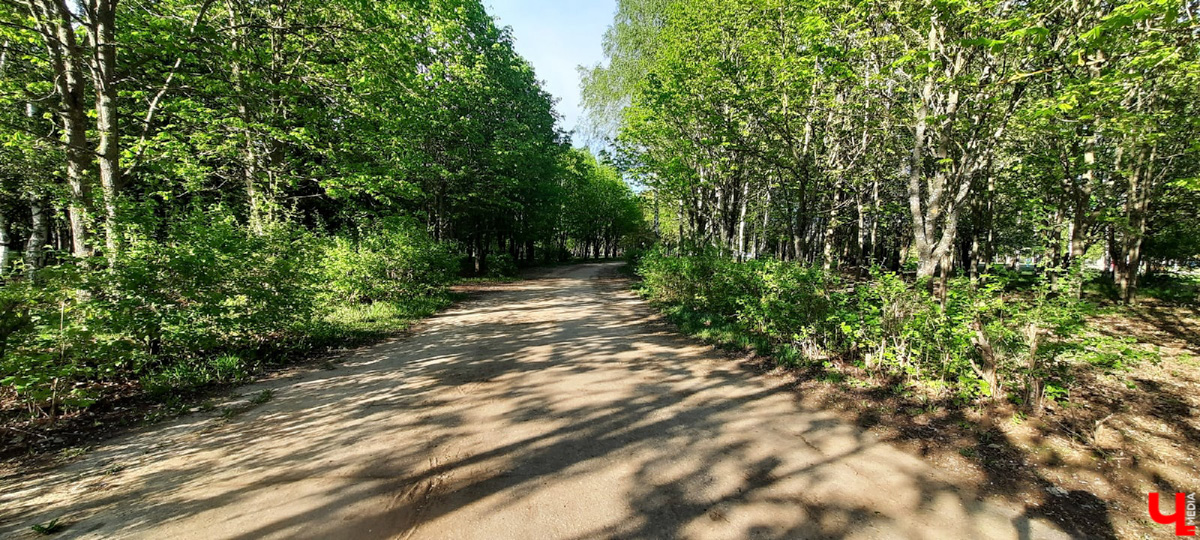 Планы на 2022-й год составлены. Владимирцы выбрали вариант дальнейшей реновации парка «Добросельский».