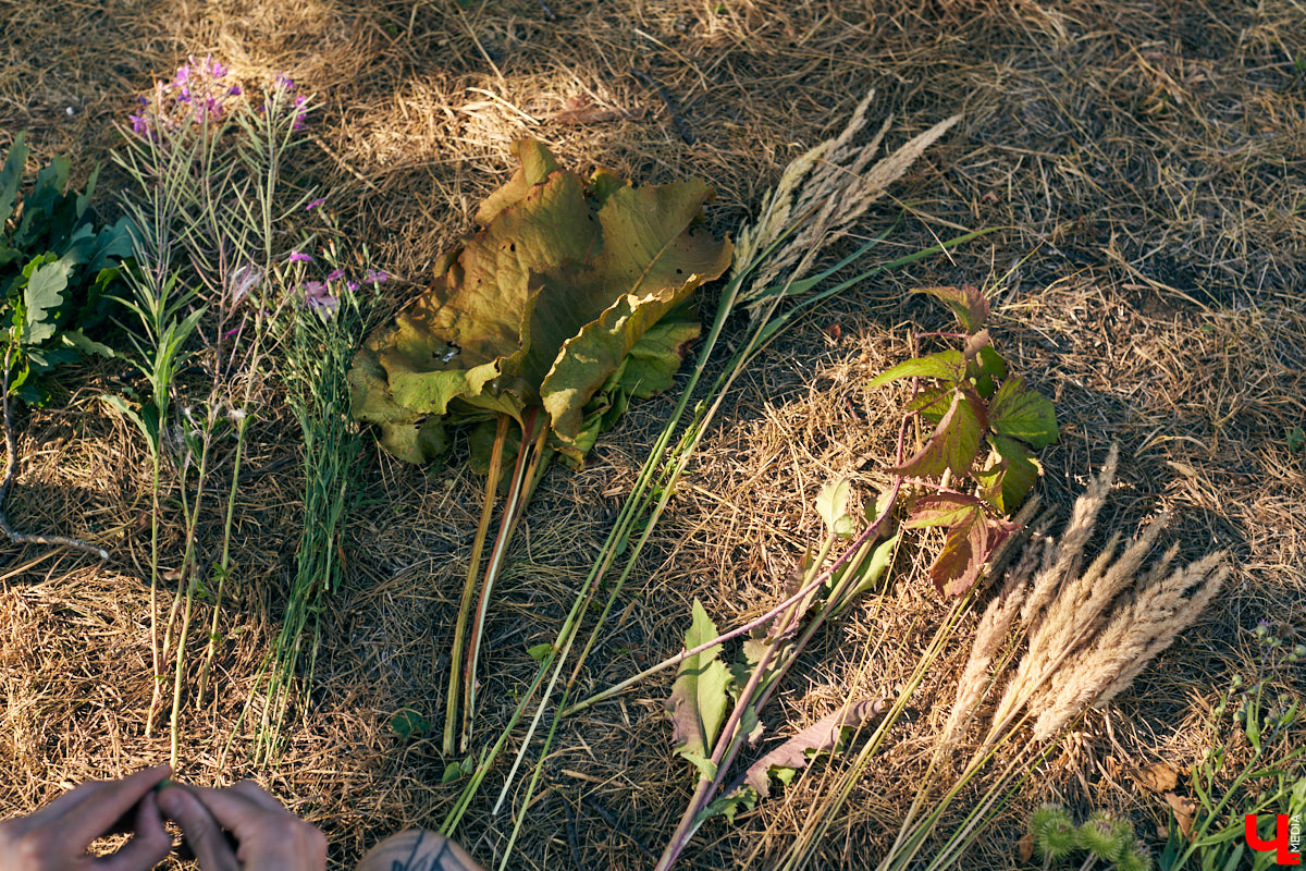 Владимирский блогер и флорист «Володя в огороде» несколько лет увлекается полевой флористикой - редким направлением цветочного дела. Учимся у мастера собирать «дорогой» подарок из бесплатного материала, то есть сорняков.
