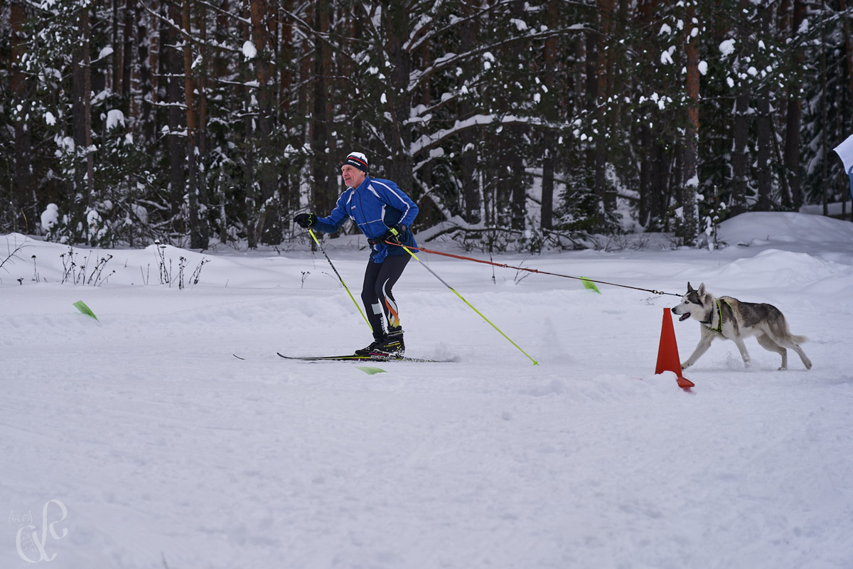 Бегом, на лыжах, велосипедах и даже с собаками! В Гусь-Хрустальном прошел традиционный зимний триатлон.