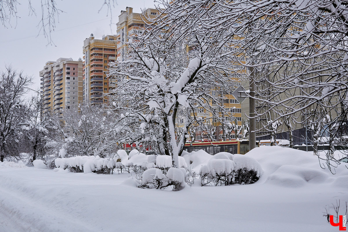 Последний месяц зимы – каким он будет для жителей 33-го региона? Снежным, холодным или аномально теплым? Ищем ответы в статье.