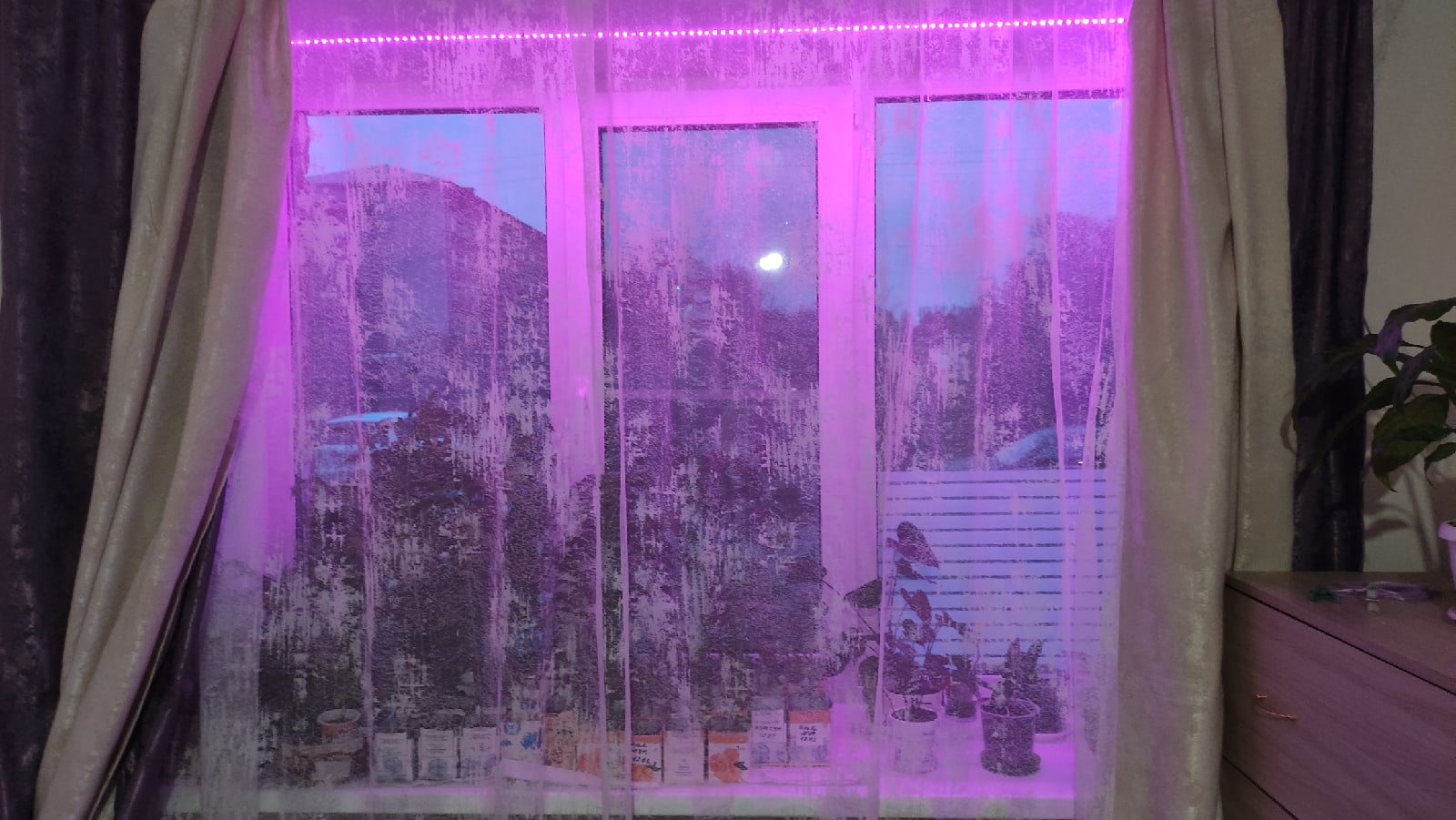 С приходом весны фиолетовые окна можно заметить почти в каждом многоэтажном доме. Кто их зажигает, а главное — зачем? «Ключ-Медиа» раскрывает все карты.