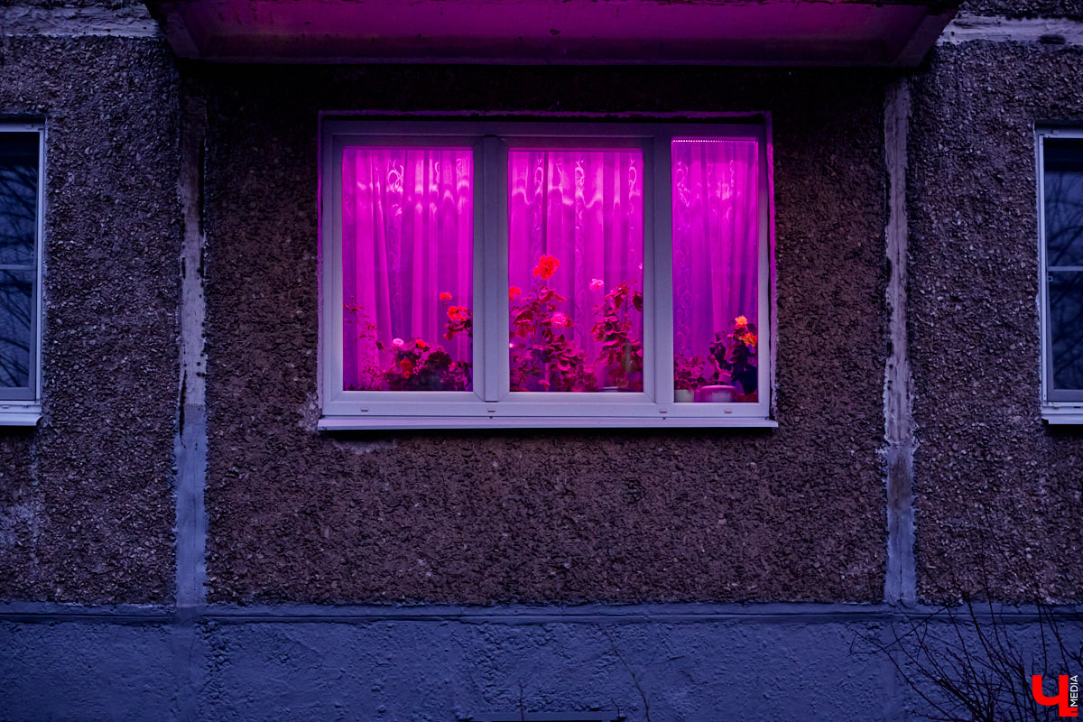 С приходом весны фиолетовые окна можно заметить почти в каждом многоэтажном доме. Кто их зажигает, а главное — зачем? «Ключ-Медиа» раскрывает все карты.