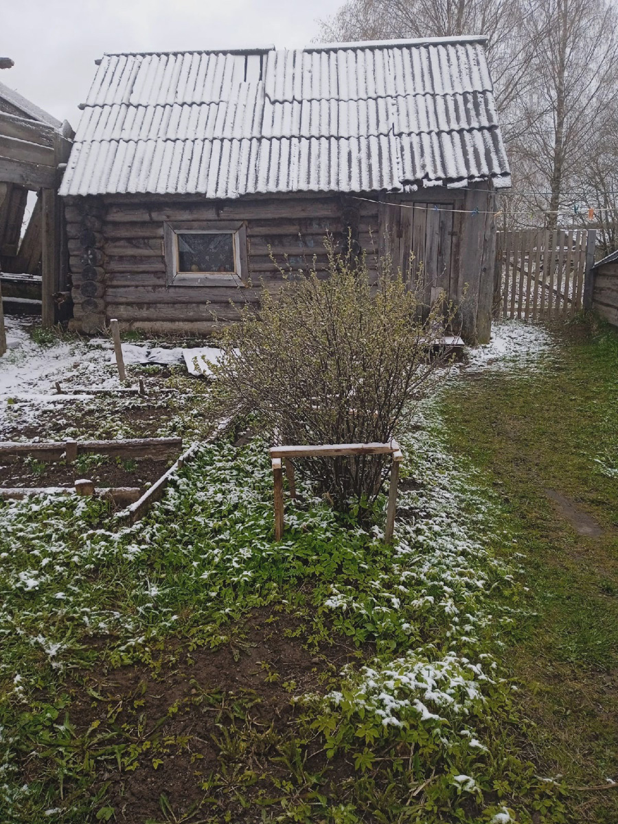 За неделю до начала лета в областном центре выпал снег. Владимирцы достали телефоны и засняли неожиданное явление. Итак, майский снегопад в фотографиях и шутках местных жителей.