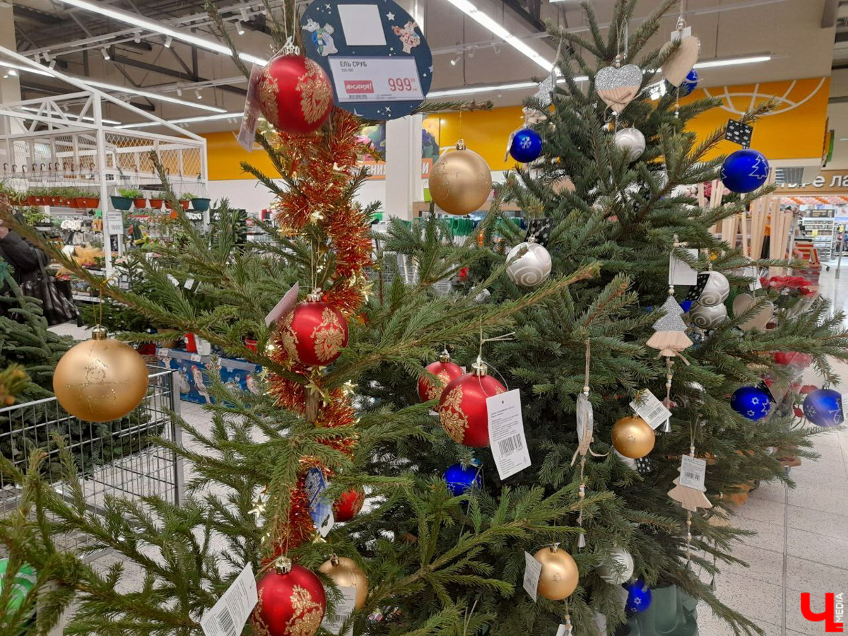 До Нового года рукой подать, а вы до сих пор не купили живую елку на праздник? Тогда сначала изучите наш материал. Мы прошлись по базару и гипермаркету во Владимире, чтобы выяснить, почем нынче колючие продают.