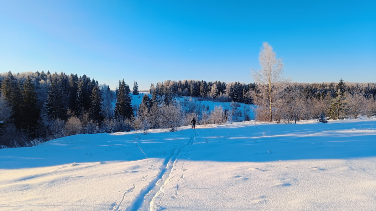 Пока все прятались по домам, владимирские туристы даже не планировали отменять свой традиционный поход. Несмотря на мороз, четверо экстремалов отправились в путешествие на лыжах с ночевкой. За два дня они прошли 40 км по заснеженному маршруту.