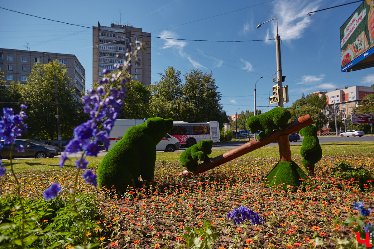 Во Владимире продолжаются работы по озеленению города. Всего планируется высадить около полумиллиона цветов и установить несколько новых топиарных композиций. «Ключ-Медиа» собрал все, что уже украшает областную столицу, в один фоторепортаж, дабы начать трудовую неделю с красоты!