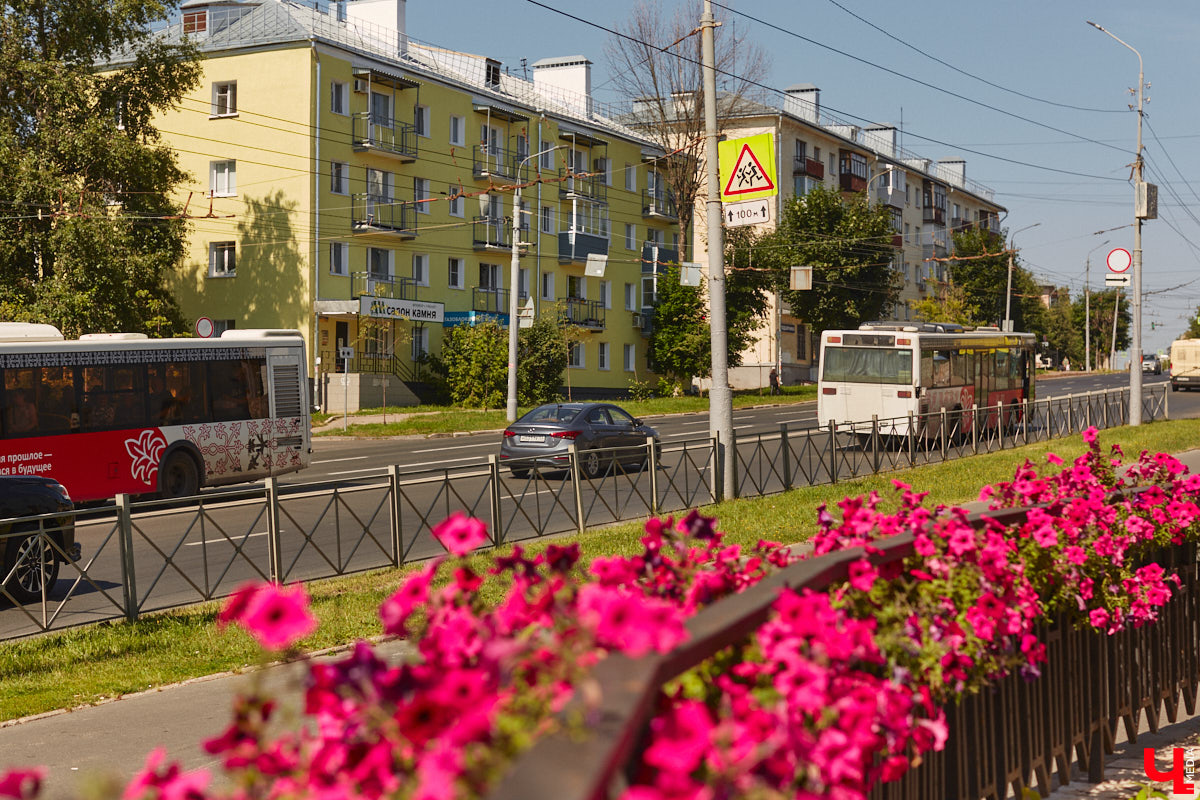 Во Владимире продолжаются работы по озеленению города. Всего планируется высадить около полумиллиона цветов и установить несколько новых топиарных композиций. «Ключ-Медиа» собрал все, что уже украшает областную столицу, в один фоторепортаж, дабы начать трудовую неделю с красоты!