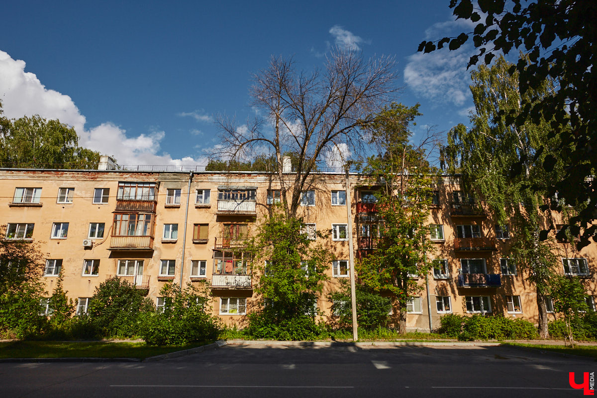 Владимир становится все менее зеленым, и даже цветники с топиарными фигурами его не спасают. Город наводнили сухие деревья мрачного вида, а многие скверы превратились в пустыри. Что делать с этой атмосферой постапа и почему она возникла, «Ключ-Медиа» рассказал биолог Максим Гринаш.