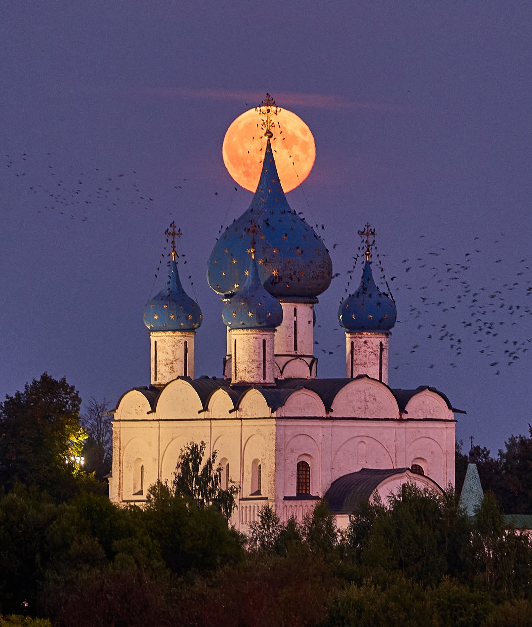 Жители Владимирской области стали свидетелями урожайного полнолуния. И пока одни просто завороженно смотрели в небо, другие включали камеру. В итоге многим удалось снять полный диск на камеру, а некоторым даже в момент мурмурации стаи птиц и во время полета самолета.