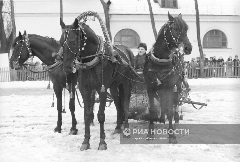 7 октября легендарный тренер-наездник, абсолютный чемпион фестиваля «Русская зима» на тройках лошадей Владимир Фомин отметил бы 97-летие. Еще при жизни он стал человеком-легендой. Им восхищались не только в России, но и за рубежом. Ему жал руку командующий Первой конной армией Семён Буденный, он катал на своей тройке Ива Монтана, Брежнева, Микояна, Хачатуряна... На квадриге открывал Олимпиаду-80, снимался в самых знаменитых фильмах. Именно тройку Фомина мы каждый день видим в заставке программы «Вести». Всю свою жизнь Владимир Иванович посвятил делу, за которое журналисты нарекли его «некоронованным королём русской тройки».