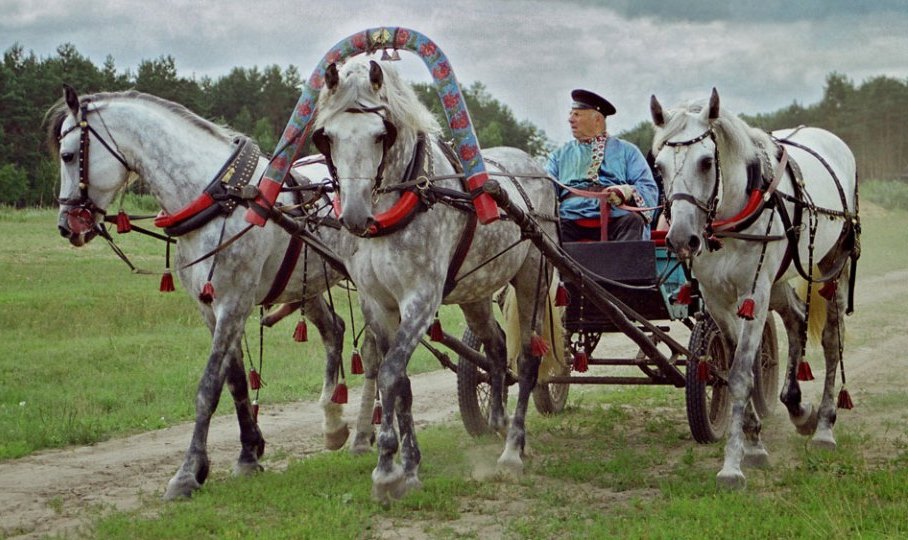 7 октября легендарный тренер-наездник, абсолютный чемпион фестиваля «Русская зима» на тройках лошадей Владимир Фомин отметил бы 97-летие. Еще при жизни он стал человеком-легендой. Им восхищались не только в России, но и за рубежом. Ему жал руку командующий Первой конной армией Семён Буденный, он катал на своей тройке Ива Монтана, Брежнева, Микояна, Хачатуряна... На квадриге открывал Олимпиаду-80, снимался в самых знаменитых фильмах. Именно тройку Фомина мы каждый день видим в заставке программы «Вести». Всю свою жизнь Владимир Иванович посвятил делу, за которое журналисты нарекли его «некоронованным королём русской тройки».