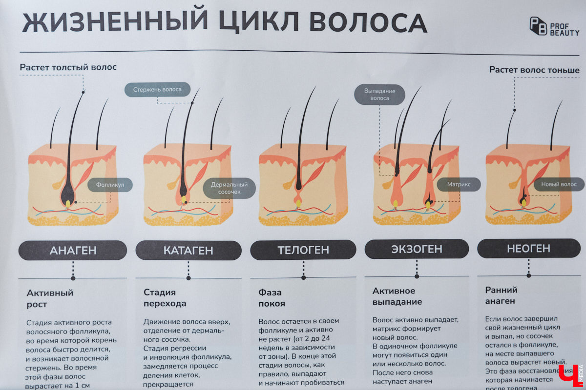 Нет сомнений, что нежная и ухоженная кожа — базовая потребность каждой женщины. Нежелательные волоски, раздражение после бритья и прочие «радости» изнурительной борьбы за гладкое тело абсолютно не вписываются в эту концепцию. Решением деликатной проблемы может стать лазерная эпиляция. Корреспондент «Ключ-Медиа» протестировала диодный аппарат во владимирской студии Lazer&go и делится личным опытом.