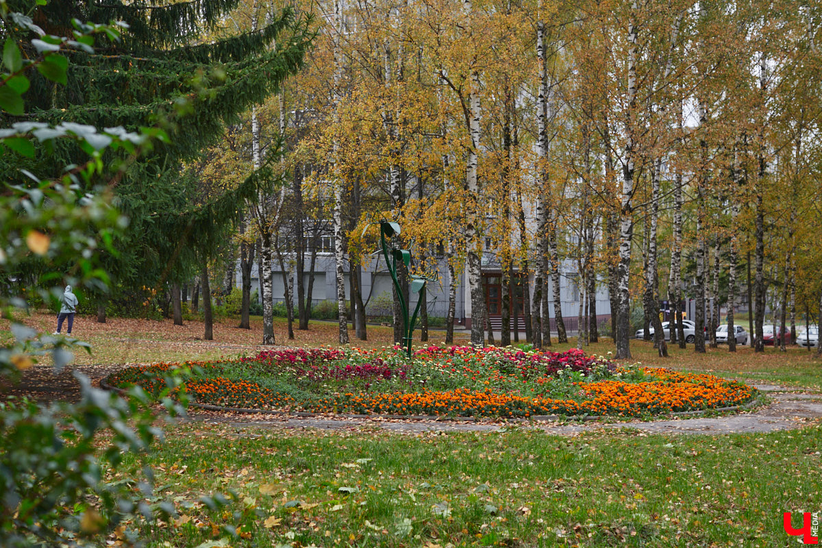 К сожалению, с деревьями во Владимире отнюдь не все гладко. Но есть и хорошие новости! Например, на небольшом пятачке на перекрестке Усти-на-Лабе и Каманина после уничтожения пораженных вредителем растений высадили новые и благоустроили, Молодежный сквер пополнился более чем 400 саженцами, а в концепцию преображения бульвара Художника Иванова внесли изменения.