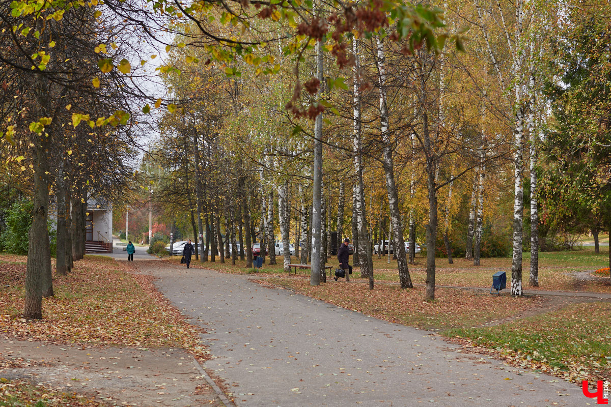 К сожалению, с деревьями во Владимире отнюдь не все гладко. Но есть и хорошие новости! Например, на небольшом пятачке на перекрестке Усти-на-Лабе и Каманина после уничтожения пораженных вредителем растений высадили новые и благоустроили, Молодежный сквер пополнился более чем 400 саженцами, а в концепцию преображения бульвара Художника Иванова внесли изменения.