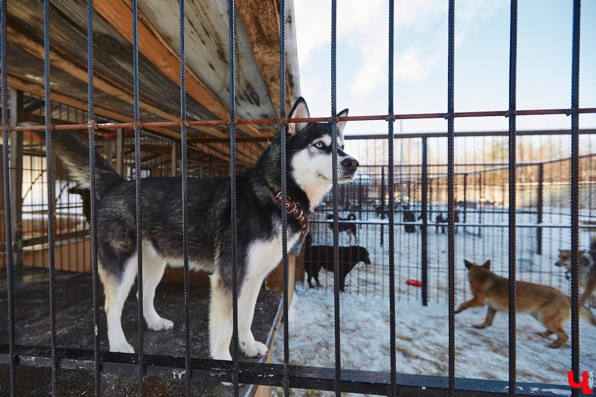 Новый год — граница, которую хочется пересечь без груза незаконченных дел. Увы, закрыть гештальт по разным причинам удалось не всем. Мы решили напомнить о проектах во Владимире и Суздале, перешедших с нами в 2025-й в разобранном виде: одним до запуска осталась самая малость, по другим не заложен и первый кирпич.