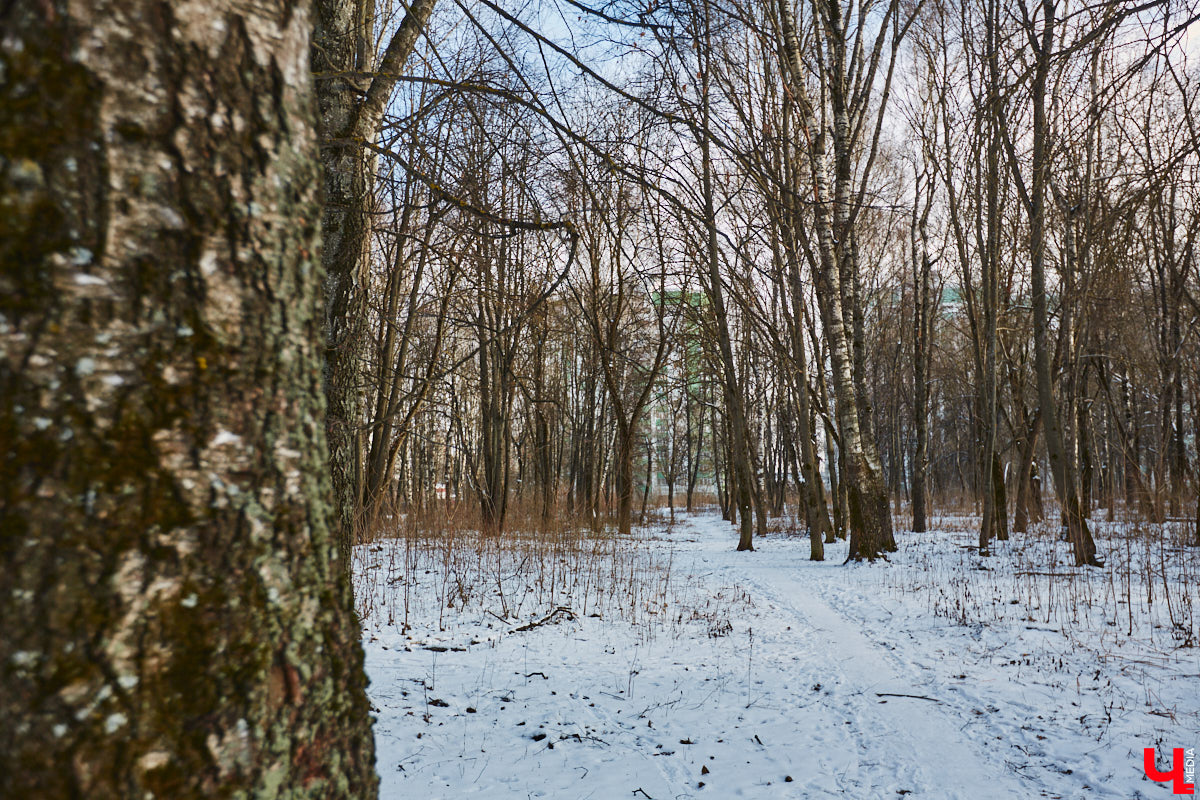 Тема продажи Козьего парка во Владимире серьезно будоражит общественность. Эковолонтеры открыто выступают против, защищая рекреационную зону. В это же время владельцев могут сменить и несколько примечательных городских зданий. Для каких построек ищут новых хозяев, рассказываем в нашем обзоре.
