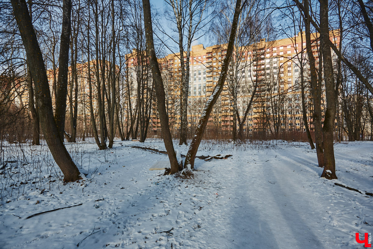 Тема продажи Козьего парка во Владимире серьезно будоражит общественность. Эковолонтеры открыто выступают против, защищая рекреационную зону. В это же время владельцев могут сменить и несколько примечательных городских зданий. Для каких построек ищут новых хозяев, рассказываем в нашем обзоре.