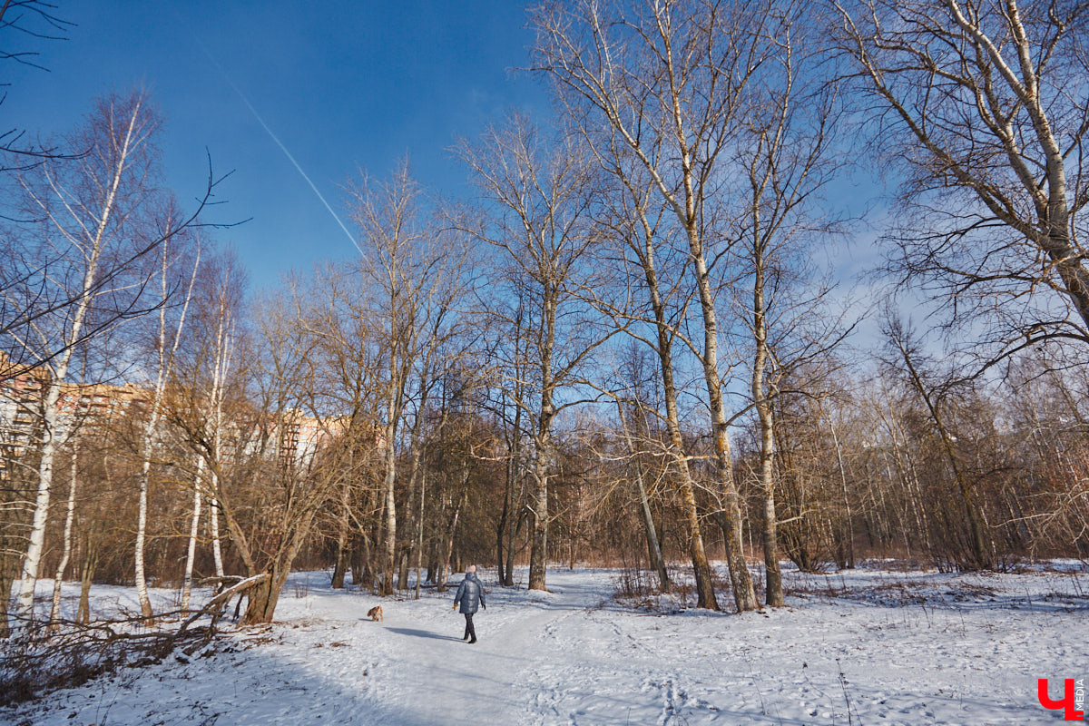 Тема продажи Козьего парка во Владимире серьезно будоражит общественность. Эковолонтеры открыто выступают против, защищая рекреационную зону. В это же время владельцев могут сменить и несколько примечательных городских зданий. Для каких построек ищут новых хозяев, рассказываем в нашем обзоре.