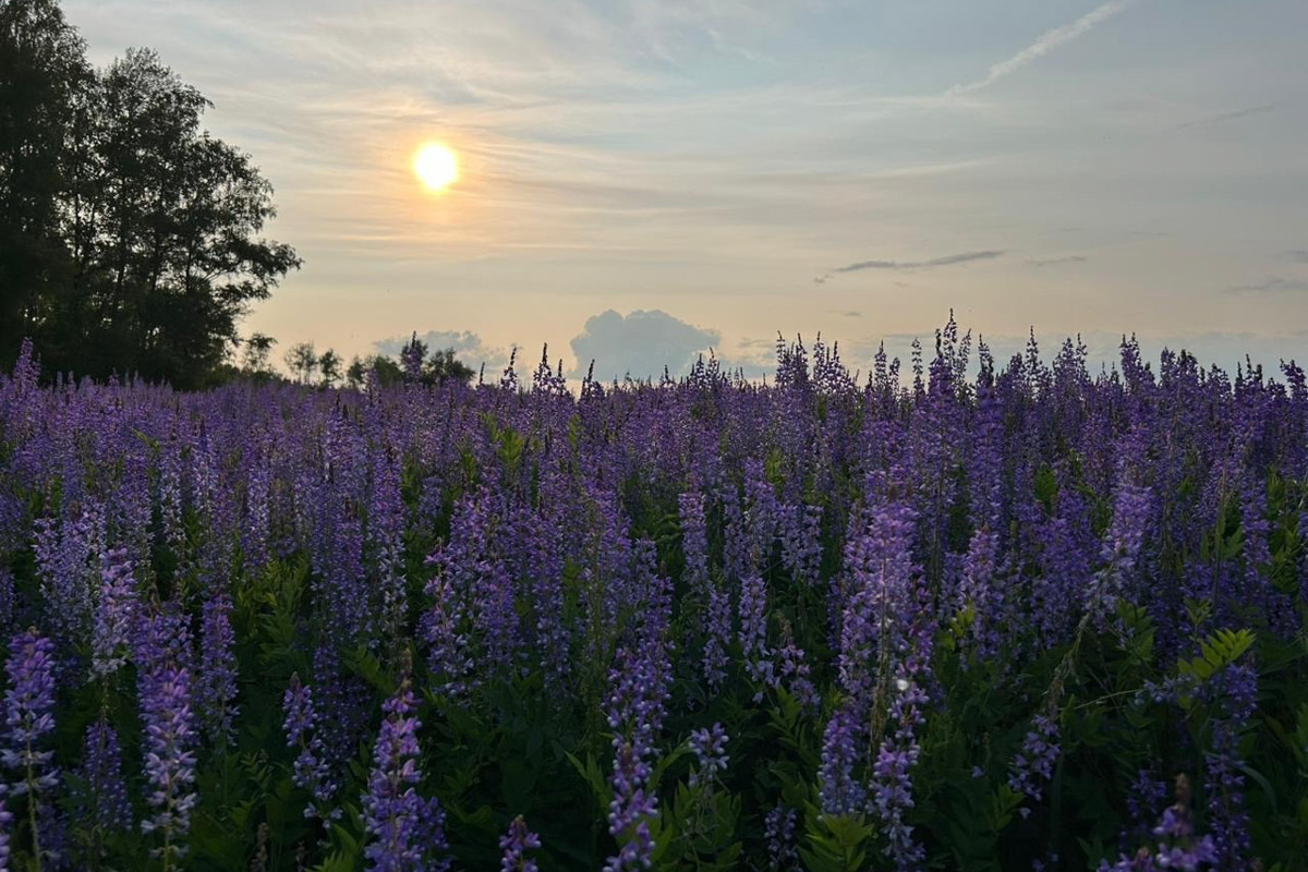 Как в одном летнем путешествии совместить экскурсионный отдых, фотосессию в живописном месте и водный туризм? Нужно приехать в поселок Фролищи, расположенный на берегу реки Лух в окружении карстовых озер на стыке Владимирской, Нижегородской и Ивановской областей. Там находится старинный Свято-Успенский мужской монастырь, или Флорищева пустынь, небесно-голубые купола которого видны еще с дороги. Кстати, именно там снимали эпизод фильма «Битва за Москву» и при этом чуть не разрушили древнюю обитель.