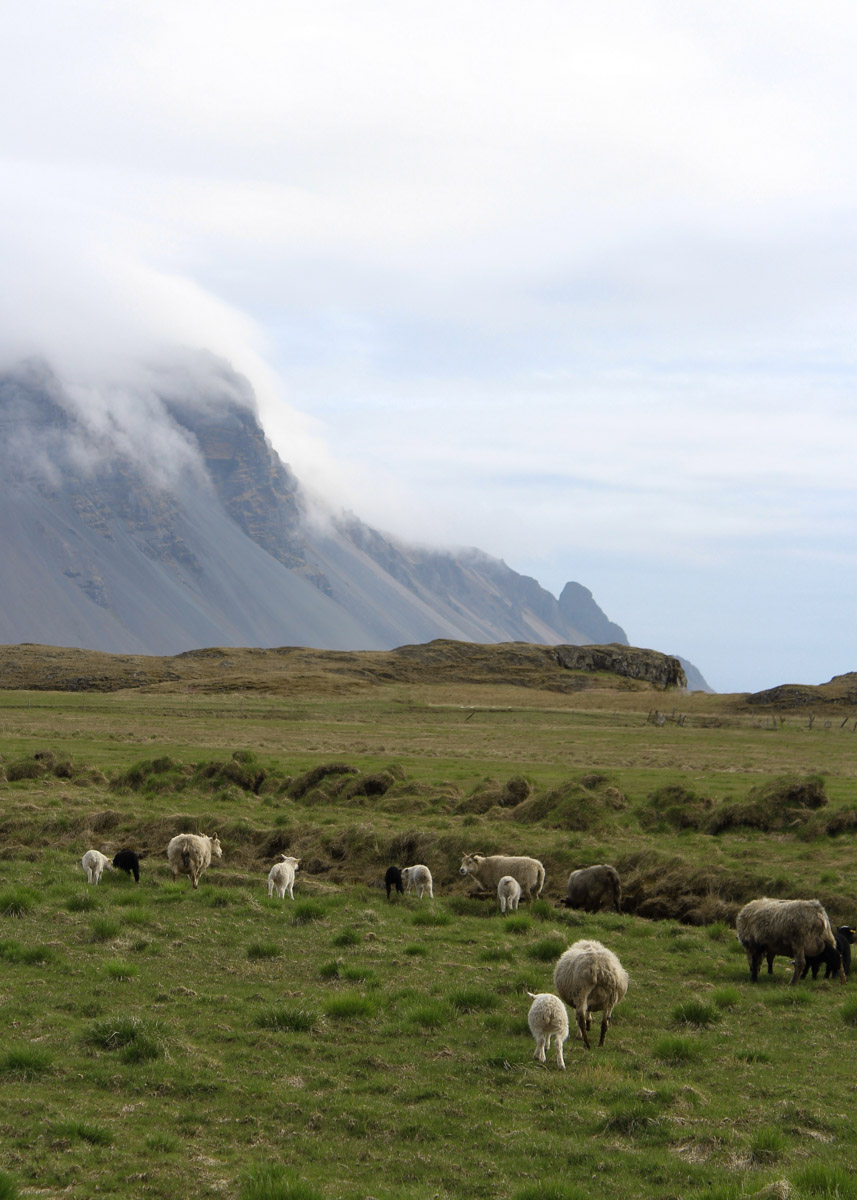 Исландию называют страной льда и огня, а ее пейзажи сравнивают с марсианскими. Оценить воочию непокорную красоту острова решаются только самые смелые. Например, такие, как опытная путешественница из Владимира Екатерина Холмина. Впечатлениями, полученными в краю контрастов, она поделилась с «Ключ-Медиа».