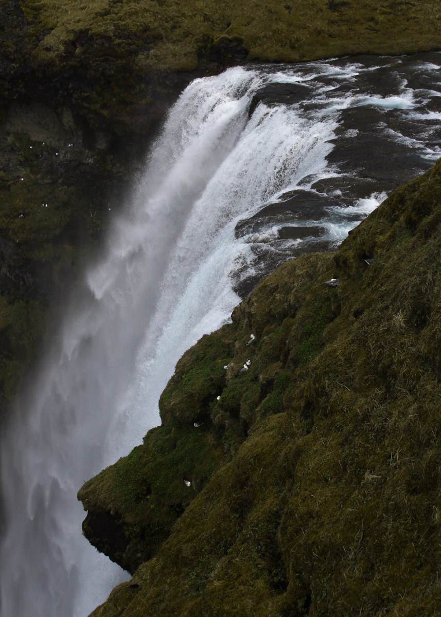 Исландию называют страной льда и огня, а ее пейзажи сравнивают с марсианскими. Оценить воочию непокорную красоту острова решаются только самые смелые. Например, такие, как опытная путешественница из Владимира Екатерина Холмина. Впечатлениями, полученными в краю контрастов, она поделилась с «Ключ-Медиа».