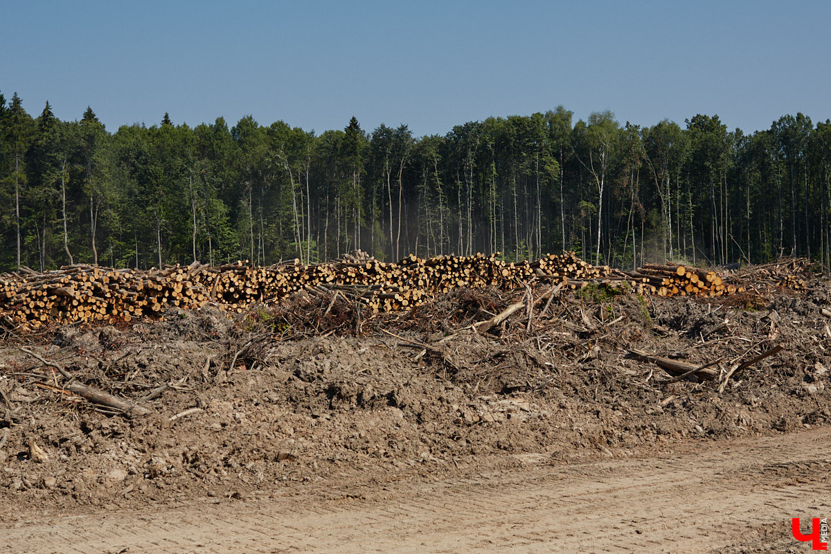 Лес рубят — щепки летят: сей факт в очередной раз испытывают на себе жители Владимира. Теперь — из микрорайона Юрьевец, где ради реновации аэропорта Семязино уничтожили деревья на площади в 13 гектаров. В то же время Старые сады у ДДюТ огородили забором, закрыв проход к роднику. Рассказываем со всеми деталями. 