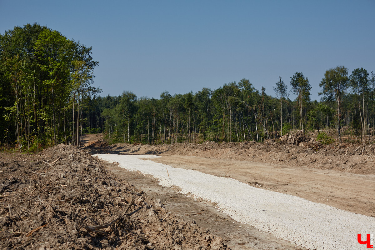 Лес рубят — щепки летят: сей факт в очередной раз испытывают на себе жители Владимира. Теперь — из микрорайона Юрьевец, где ради реновации аэропорта Семязино уничтожили деревья на площади в 13 гектаров. В то же время Старые сады у ДДюТ огородили забором, закрыв проход к роднику. Рассказываем со всеми деталями. 