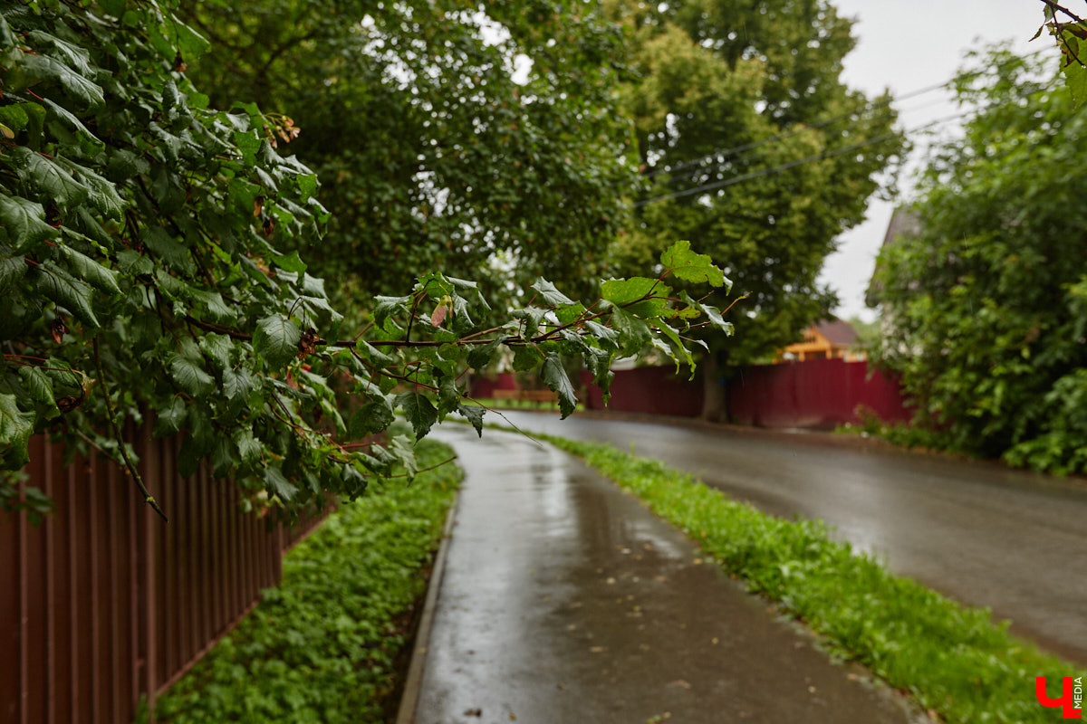 Юлия Лобова знает Пиганово от и до. Она приехала сюда с Урала в четырехлетнем возрасте. Жила в пятиэтажке с родителями, потом построила с мужем дом, вырастила двоих детей, теперь воспитывает внуков. Городской микрорайон менялся на ее глазах. Каким он был полвека назад, владимирский искусствовед рассказала «Ключ-Медиа».