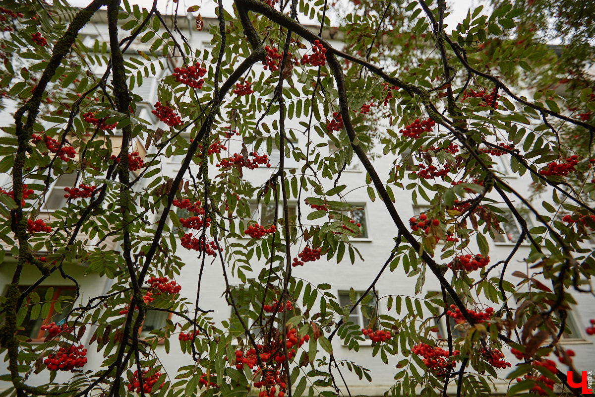 Юлия Лобова знает Пиганово от и до. Она приехала сюда с Урала в четырехлетнем возрасте. Жила в пятиэтажке с родителями, потом построила с мужем дом, вырастила двоих детей, теперь воспитывает внуков. Городской микрорайон менялся на ее глазах. Каким он был полвека назад, владимирский искусствовед рассказала «Ключ-Медиа».