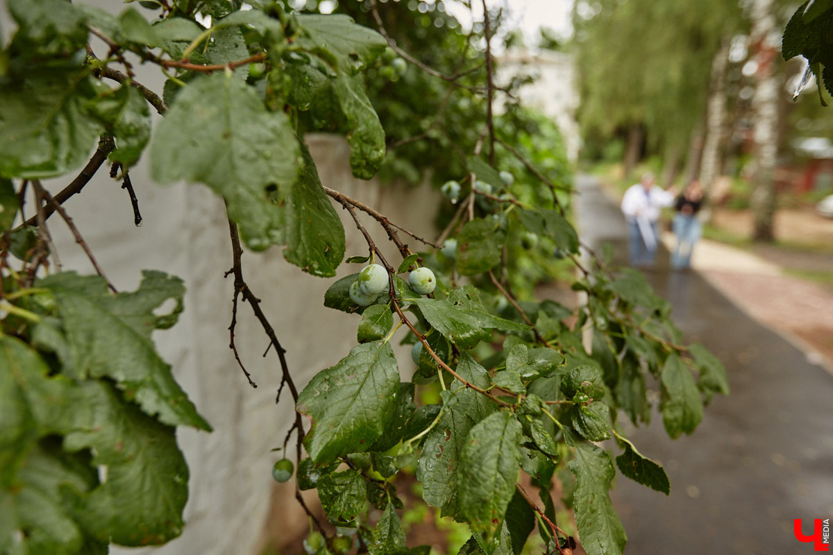 Юлия Лобова знает Пиганово от и до. Она приехала сюда с Урала в четырехлетнем возрасте. Жила в пятиэтажке с родителями, потом построила с мужем дом, вырастила двоих детей, теперь воспитывает внуков. Городской микрорайон менялся на ее глазах. Каким он был полвека назад, владимирский искусствовед рассказала «Ключ-Медиа».