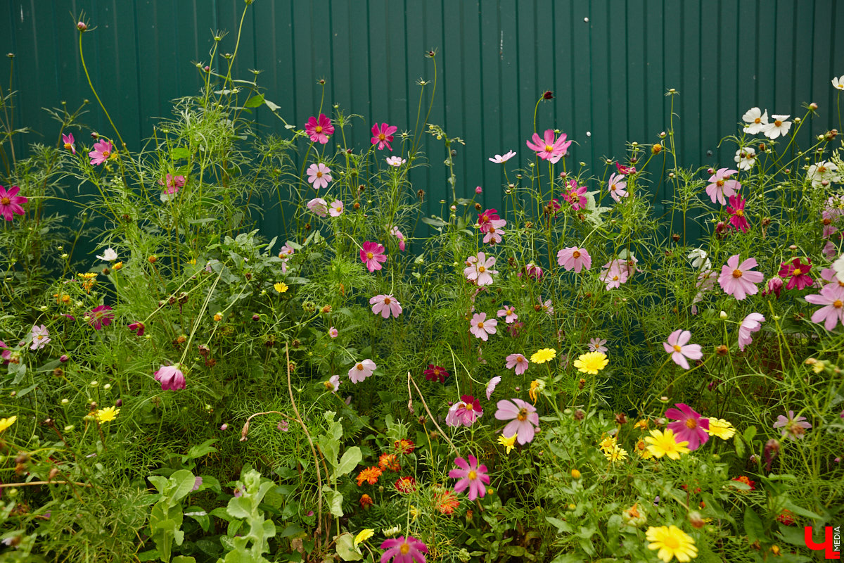 Юлия Лобова знает Пиганово от и до. Она приехала сюда с Урала в четырехлетнем возрасте. Жила в пятиэтажке с родителями, потом построила с мужем дом, вырастила двоих детей, теперь воспитывает внуков. Городской микрорайон менялся на ее глазах. Каким он был полвека назад, владимирский искусствовед рассказала «Ключ-Медиа».