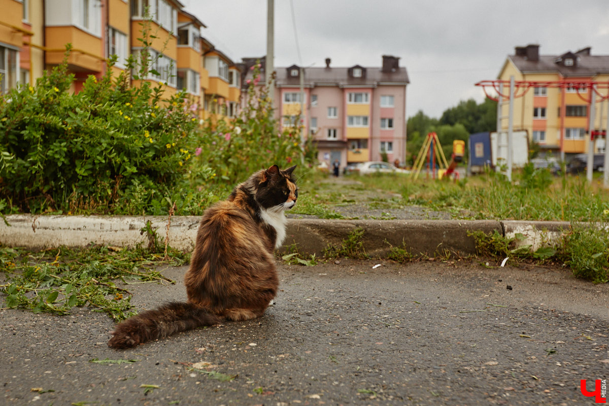 Юлия Лобова знает Пиганово от и до. Она приехала сюда с Урала в четырехлетнем возрасте. Жила в пятиэтажке с родителями, потом построила с мужем дом, вырастила двоих детей, теперь воспитывает внуков. Городской микрорайон менялся на ее глазах. Каким он был полвека назад, владимирский искусствовед рассказала «Ключ-Медиа».