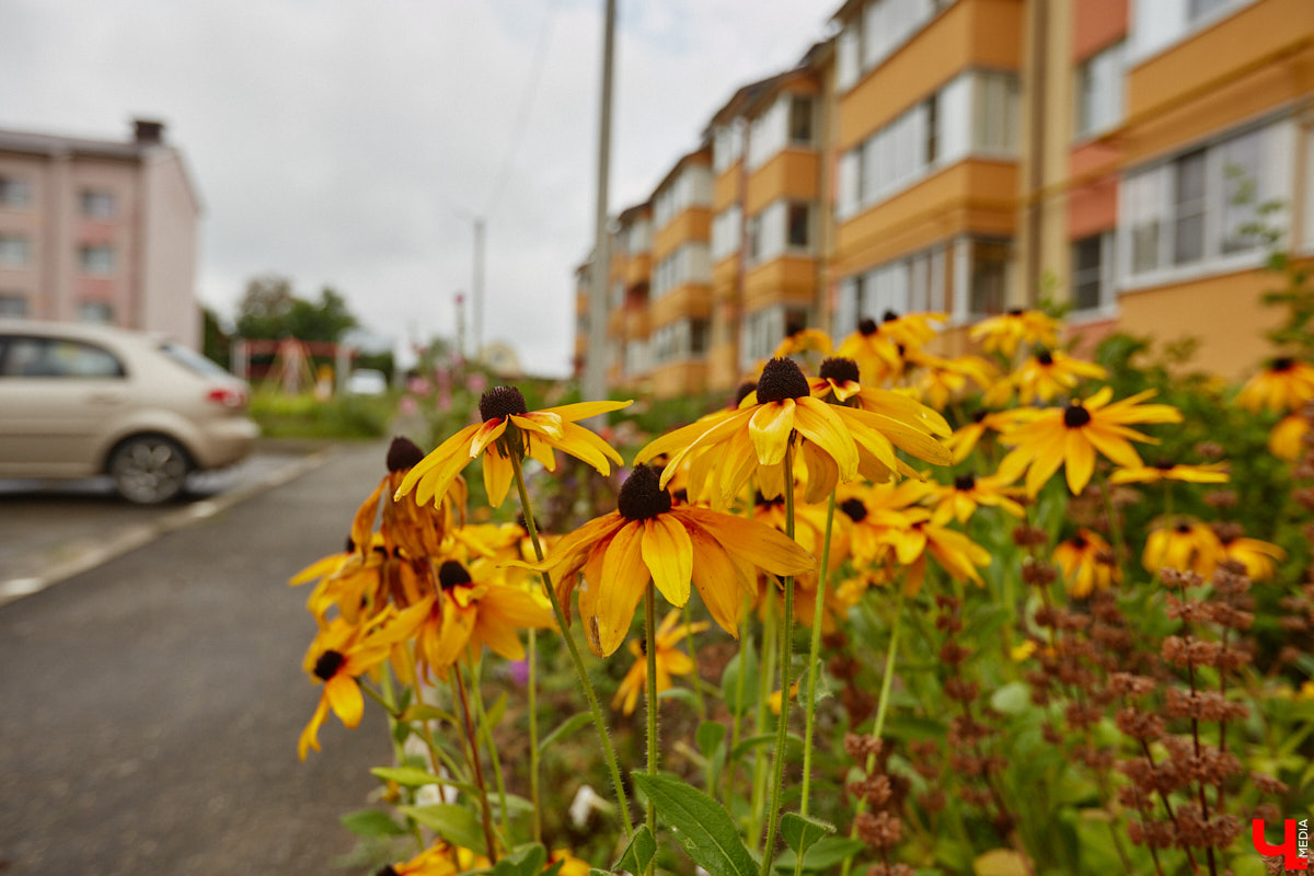 Юлия Лобова знает Пиганово от и до. Она приехала сюда с Урала в четырехлетнем возрасте. Жила в пятиэтажке с родителями, потом построила с мужем дом, вырастила двоих детей, теперь воспитывает внуков. Городской микрорайон менялся на ее глазах. Каким он был полвека назад, владимирский искусствовед рассказала «Ключ-Медиа».