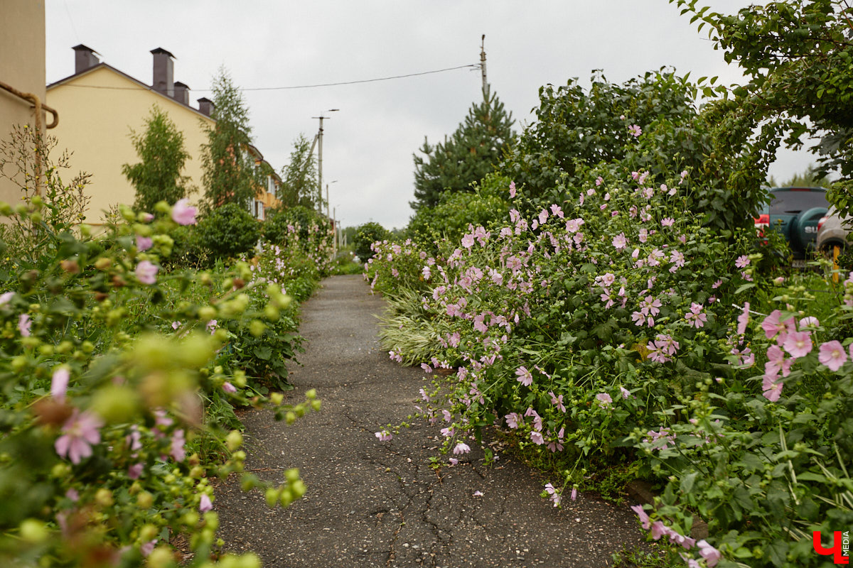 Юлия Лобова знает Пиганово от и до. Она приехала сюда с Урала в четырехлетнем возрасте. Жила в пятиэтажке с родителями, потом построила с мужем дом, вырастила двоих детей, теперь воспитывает внуков. Городской микрорайон менялся на ее глазах. Каким он был полвека назад, владимирский искусствовед рассказала «Ключ-Медиа».